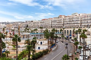 fr philip johnson Algeria’s Shift From French to English